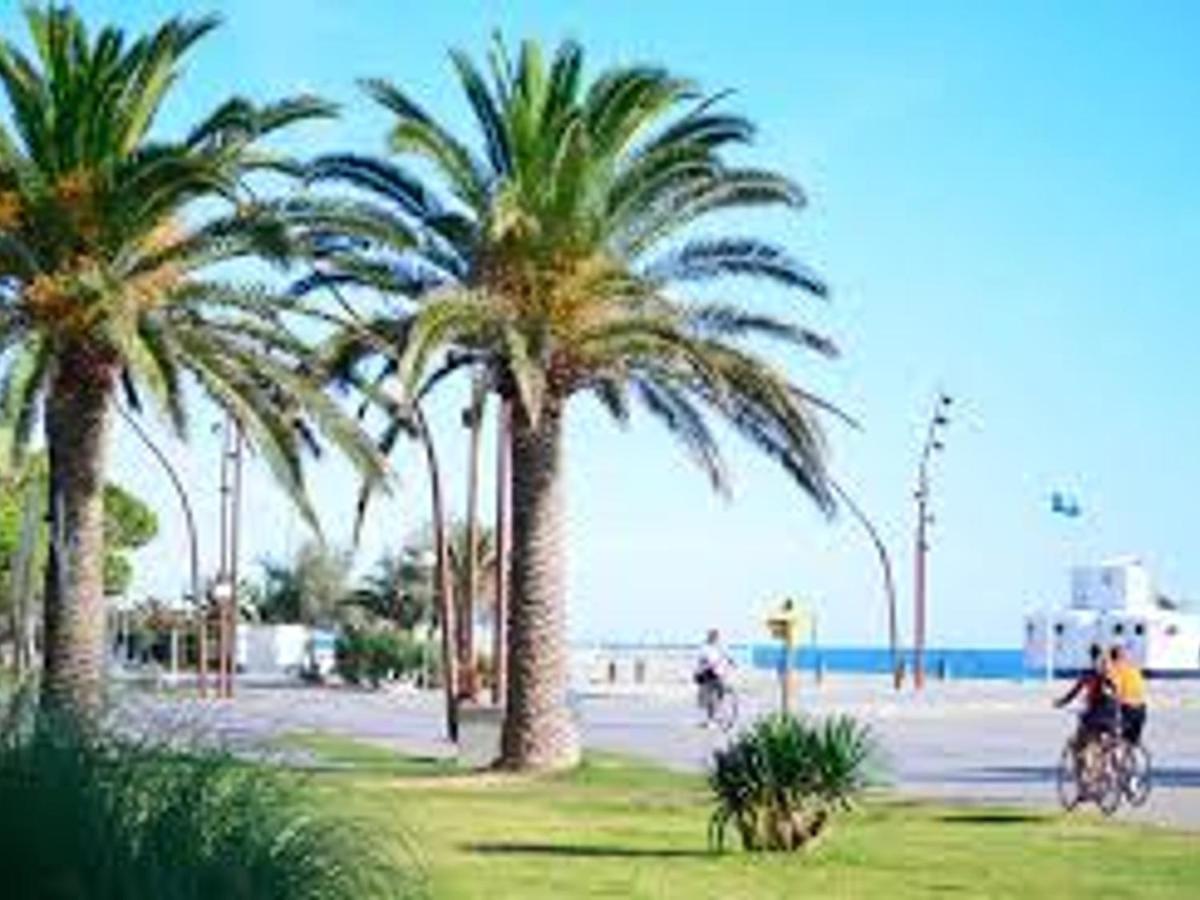 Pavillon Climatise Avec Terrasse, 10 Min. De La Plage, Parking Privatif Inclus, Tout Confort - Fr-1-732-45 Argelès-sur-Mer Extérieur photo
